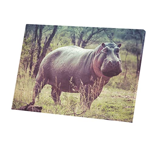 Toile imprimée hippopotame pour salon moderne et déco sauvage