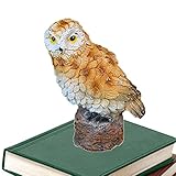♚Jeu imaginatif : les accessoires d'animaux mignons offrent un espace plus imaginatif et créatif. C'est un projet de jardinage adapté aux enfants, vous pouvez construire votre monde de conte de fées avec votre famille et vos amis.