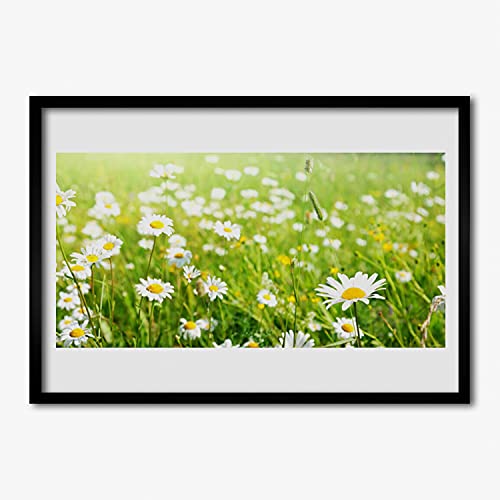 Affiche avec cadre murale salon chic motif nature marguerite 70x50