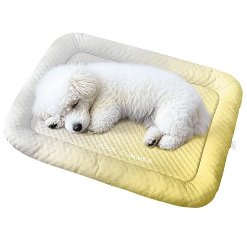  L xbh  Ђ ΍ PP ʋC ~ ybgxbh 􂦂 ڐG⊴ zMf ėp 􂦂 JԂp\ ^  L ACXVNn NbV M΍ ϊ ~ ΍ N[Lxbh (CG