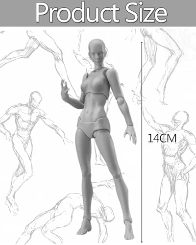 Image of Body Kun, Gray Female Desktop Figure Model, Includes Accessories, Ideal for Drawing, Painting, Photography, and Home Decoration, Figure Model for Sketching, Office and Home Decor