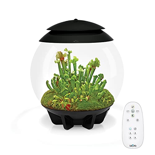 biOrb AIR 30, Automated Acrylic Terrarium for Desert or Tropical Plants, Black