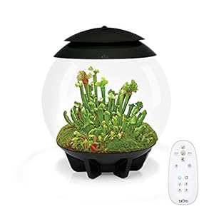 biOrb AIR 30, Automated Acrylic Terrarium for Desert or Tropical Plants, Black