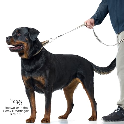 Pet Passion Remy II - The Recycled Ribbon Martingale Adjustable Collar No-Pull Pet Training Collars Dogs, Navy Camo, Medium by Pet Passion - Image 3