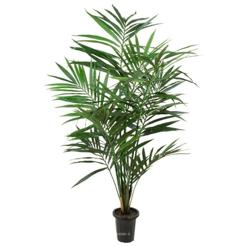 Artificielles.com Künstliche Kentia-Palme, Höhe 120 cm, Dichte Aerien im Topf, Höhe: 120 cm, Farbe: Grün