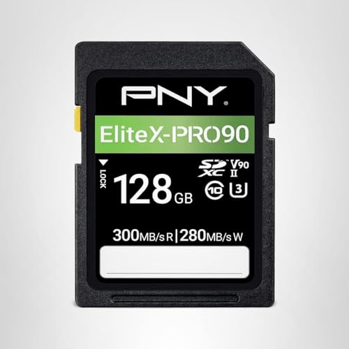 PNY EliteX-PRO90 V90