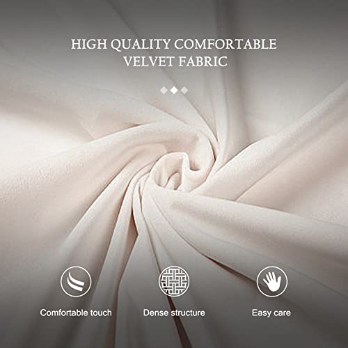 Qtivii Velvet Dining Chairs Set Of 6, Tufted Dining Room Chairs With Button Back, Nailhead Trim, Upholstered Dining Chairs For Kitchen, Bedroom, Restaurant (Beige) #TOP3