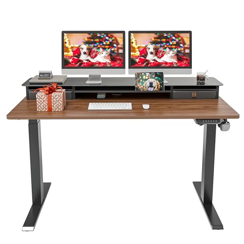 Fezibo Electric Standing Desk with Glass Top Double Drawers Fezibo Electric Standing Desk with Glass Top Double Drawers