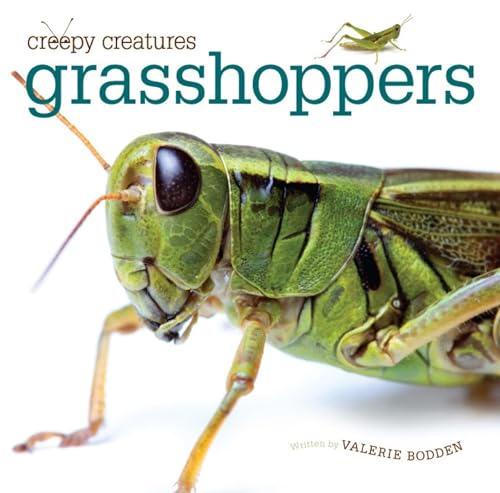 Creepy Creatures: Grasshoppers