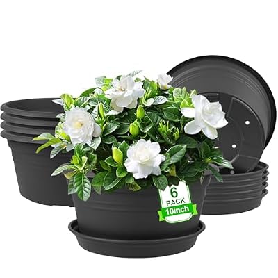 NNARRE 6 Pack 10 inch Plant Pot, Round Plastic Plant Pots, Outdoor Pots for Plants with Drainage Hole & Tray Saucer, Decoration Flower Pots for Indoor Plants Home Garden Outdoor Planters (Grey)