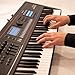 Roland JUNO-D6 Synthesizer Bundle with Adjustable Stand, Bench, Sustain Pedal, Cover, Austin Bazaar Instructional Video, and Polishing Cloth