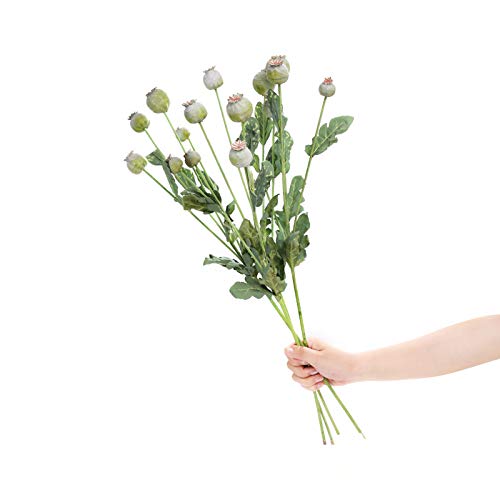 4 Packs of Artificial Flowers and 16-Stem Poppy Fruit Decoration Products. Artificial Poppy Fruit with Leaves is Suitable for Home, Hotel, Shopping Mall Decoration (Green)