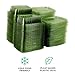 ECO PRODUCTS Compostable 24oz Rectangular Deli Containers With Lids, Case of 200, Veridian Clear Green Meal Prep, Made from PLA, A Renewable Material Made from Plants, One Lid Fits All