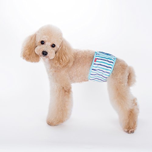 Alfie Pet - Gaki Back Pocket Belly Band - Size: Xl (For Boy Dogs) #TOP1