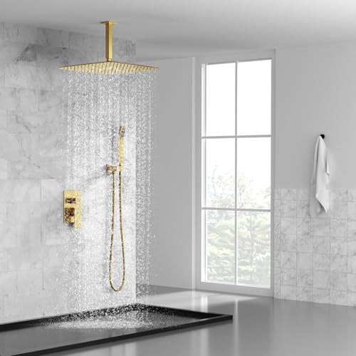 Image of SR SUN RISE 16 Inch Ceiling Mount Rain Shower System,Brushed Gold