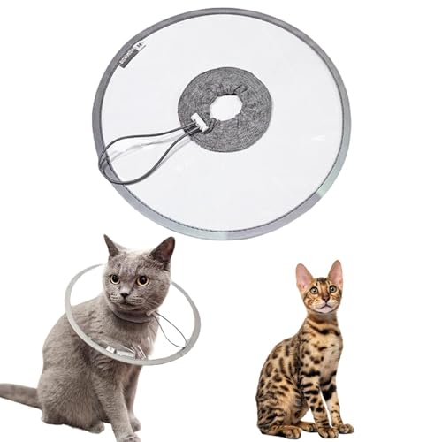 LifetipsxKL xKLp GUxXJ[ h \tg y pPA ی Ȃߖh~ p EȒP 􂦂 PAJ[(NAj(Lj