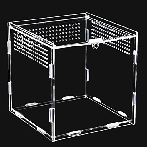 Pontedinvoy for Schnecken Terrarium,Acryl Transparent Transport Box,Terrarium GlasFür Schnecken Spinnen Gecko Hamster Schlangen Schildkröten Terrarium Tragbarer Reptilien Insect Feeding Terrarium Cover