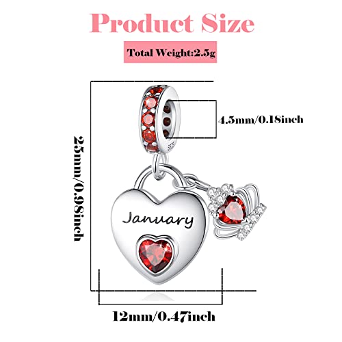 Birthstone Dangle Charms: 925 Sterling Silver Heart Bead Charms For Pandora Bracelets And Necklaces, Birthday Mother's Day Christmas Jewelry Gifts For Women (January) #TOP5