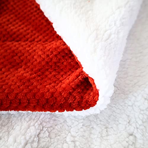 Sochow Waffle Sherpa Fleece Throw Blanket, Super Soft Fuzzy Warm, Lightweight Fluffy Reversible Plush Blanket For Bed Sofa Couch, 60 X 80 Inches Rust #TOP4