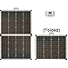 Xantrex 782-0160-01 160W Solar Power Portable Kit