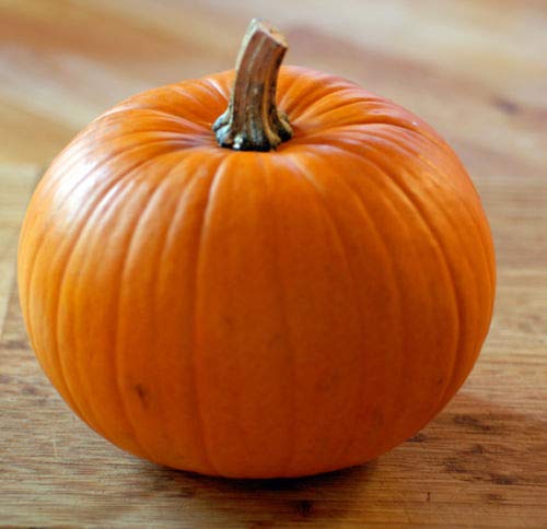 Arlo Vegetable Seeds PUMPKIN - Large Round Variety Hybrid Seeds - Pack of 20 Seeds. (B07G5DYFW3) Amazon Price History, Amazon Price Tracker