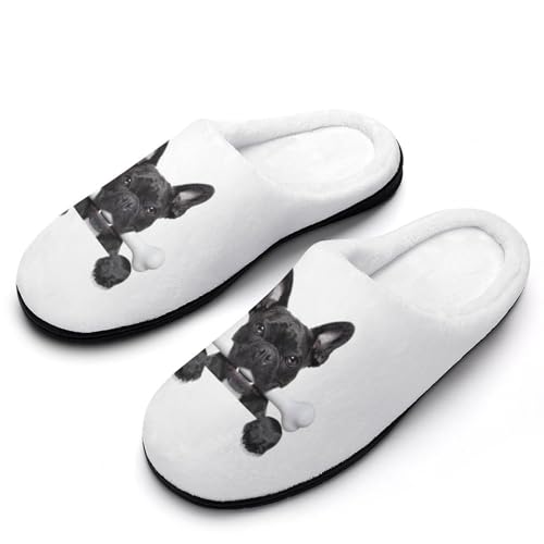 [STEBVI] Xbp  ʔ t`uhbO [V[Y  nEXXbp  Y fB[X  ~ g 􂦂 qp p jp v[g