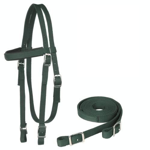 Majestic Ally Nylon Padded Browband Headstall with Reins for Horses (Hunter Green, Full) by Majestic Ally - Image 6