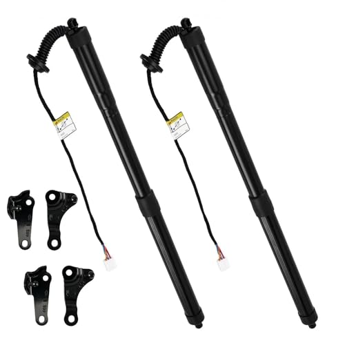 �d�C�e�[���Q�[�g�K�X�X�g���b�g �ɓK������ ���N�T�X �ɓK������ NX200 NX200T NX300 NX300H 2015-2017 ���A�e�[���Q�[�g�p���[���t�g�T�|�[�g LH 6892079016 RH 6891079016(A pair)