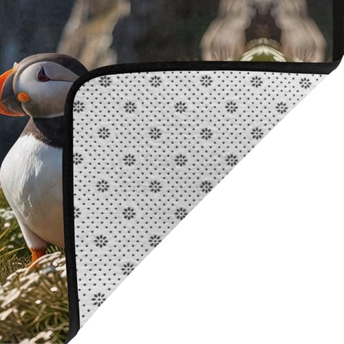 Tapis Puffin is Cliffs 203x147 cm grand format pour salon et bureau - 6