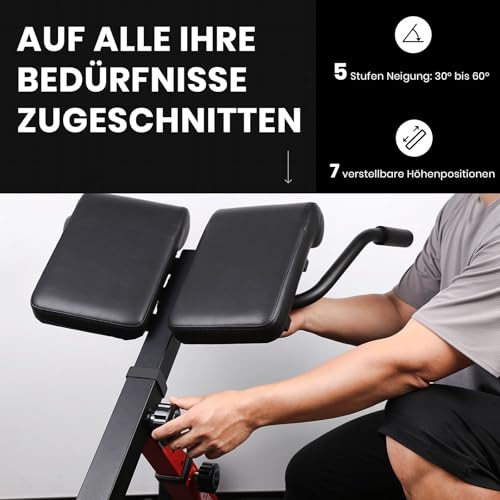 LIONSCOOL Schwerlast-Verstellbare Römische Bank – Rückenerweiterungsbank mit mehreren Einstellmöglichkeiten – Hyperextensionsbank, ideal für das Heimtraining