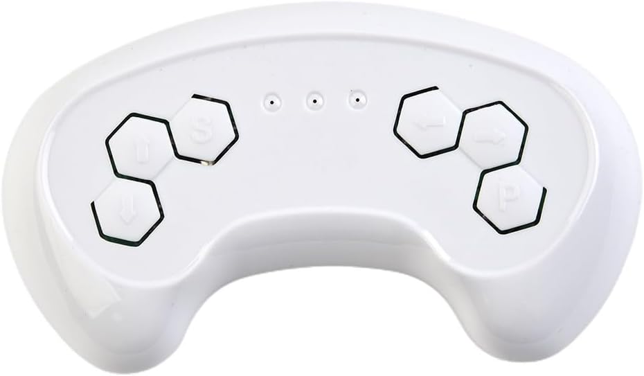 Remote Control and Receiver for Children's Electric Car HH670K 2 4G, Dual Voltage (Remote Control)