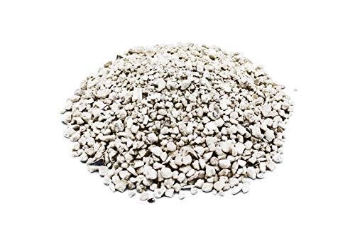 Family Farm and Feed | Oyster Shell | Small Pet | Young and Adult | Granular | 4 Pounds