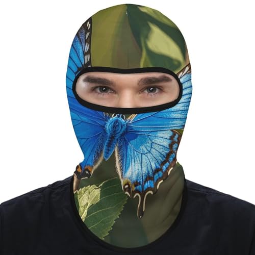 Balaclava para hombre y mujer, máscara para esquiar con diseño de mariposa azul, cubreboca completo para ciclismo miniatura 1
