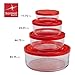 Bormioli Rocco Gelo 4pc Glass Storage Container/Food Storage Set with Red Lid (11.75 oz., 24.25 oz., 44.75 oz., 93.75 oz.)