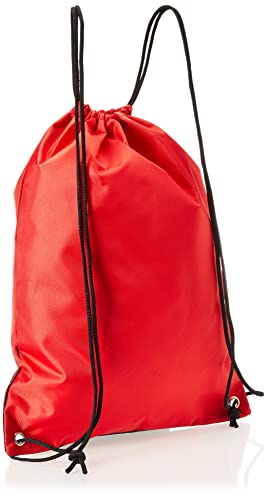 Foco South Carolina Gamecocks Ncaa Gradient Drawstring Backpack #TOP1