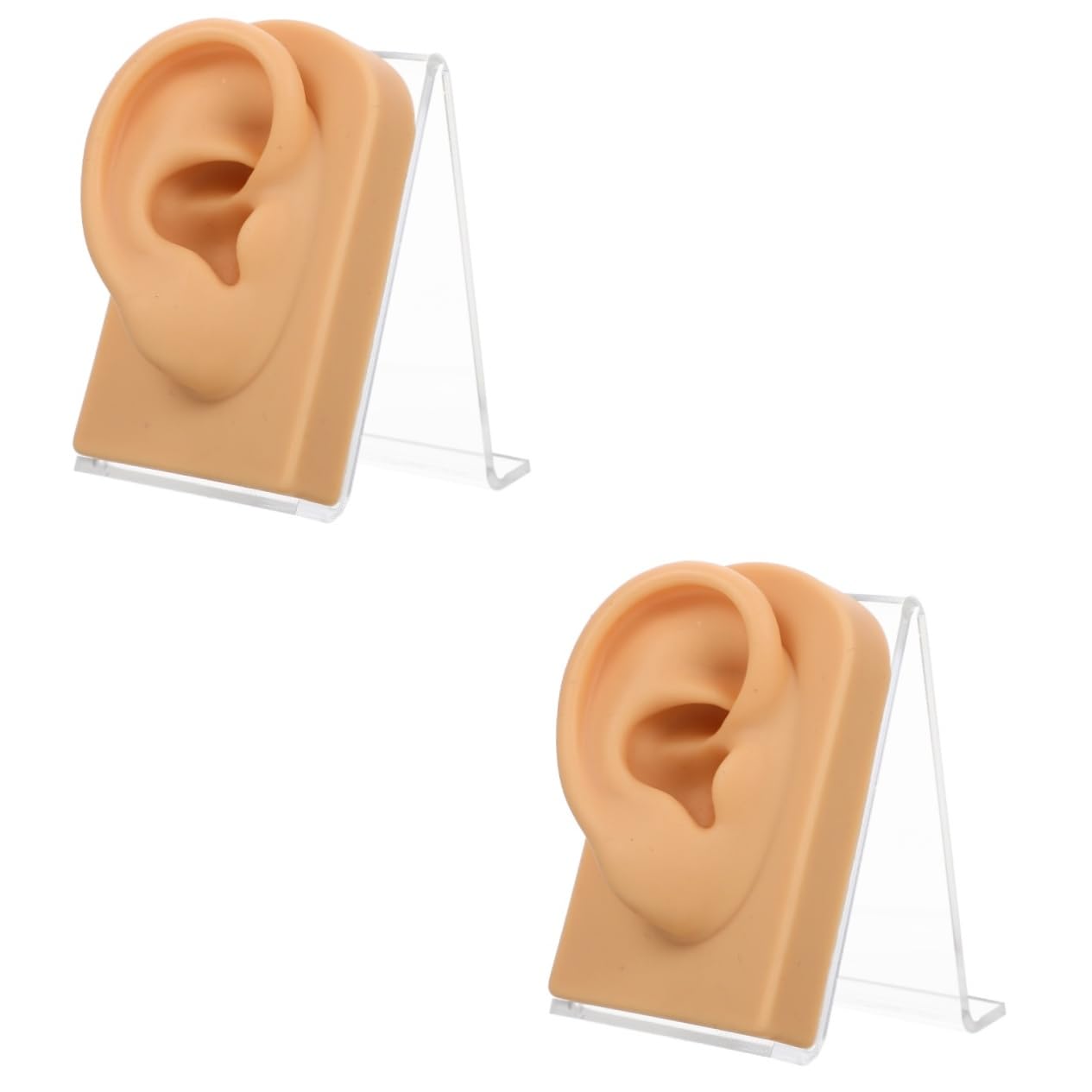minkissy 2sätze Multifunktionaler Ohrmodell Für Ohrringe Dekorative Aufbewahrung Für Piercing-übungen Und Schmuckpräsentation Inklusive Acrylständer Langlebig Und Stabil