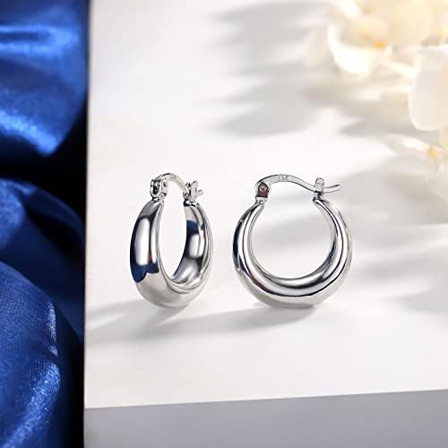 Sterling Silver Hoop Earrings for Women, Chunky Gold Hoop Earrings, Thick Hypoallergenic Huggies Hoops Earrings Jewellery for Girls Men (Outer Diameter: 18mm/20mm)
