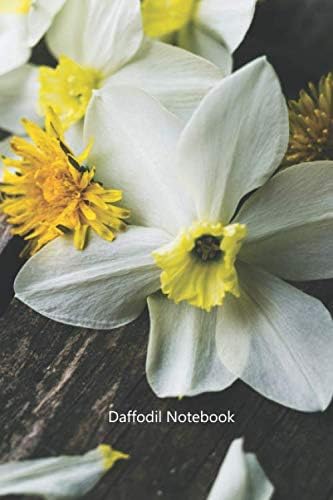 Daffodil Notebook: Portable lined Daffodil - Travel Journal to write in - 120 pages - 6"x9"