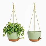 2er Set 20cm Selbstbewässernde Blumenampel Hängend Innen Außen Grün Braun