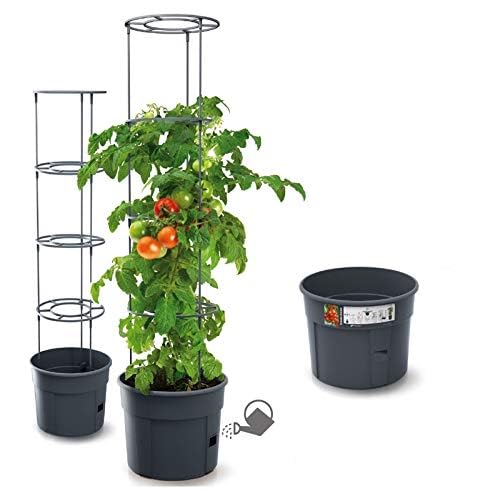 BioBizz 02-075-100 Erde Light-Mix Potting Soil 50 L Bag 15 rg-vertrieb Blumentopf Tomatentopf Topf für Tomatenpflanzen 28L Tomatenzüchter Gesamthöhe 153cm Pflanzen-Aufzucht-Turm mit Rankhilfe Rangitter (Ø 400)