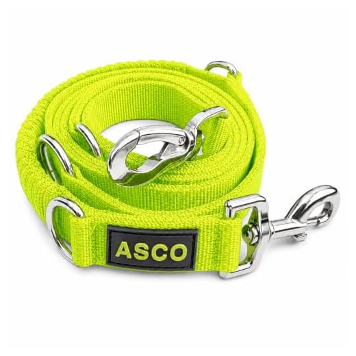 ASCO Hundeleine mit Ruckdämpfer, robuste Trainingsleine verstellbar in 4 Längen, Premium Führleine auch für große Hunde, 100-200 cm, neon gelb AC07L
