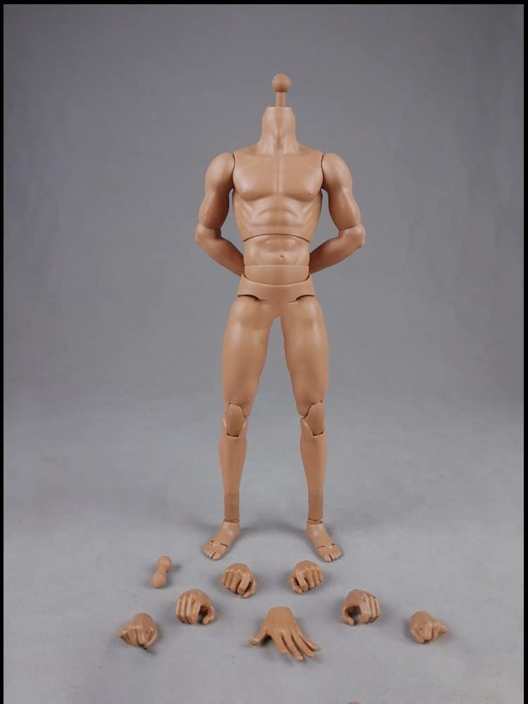 Amazon.co.jp: 1/6男性アクションフィギュア ボディフィギュア 体型 Amazon.co.jp: 1/6男性アクションフィギュア ボディフィギュア 体型