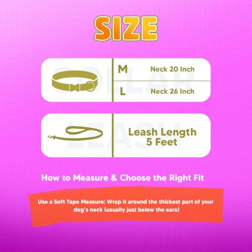 Image of Adil's Biothane Waterproof Dog Collar, Dog Leash & Collar Leash Combo | Heavy Duty TPU Coated Webbing | Adjustable Quick Release Buckle | Odour Resistant (Yellow, L-22, Collar & Leash Combo)