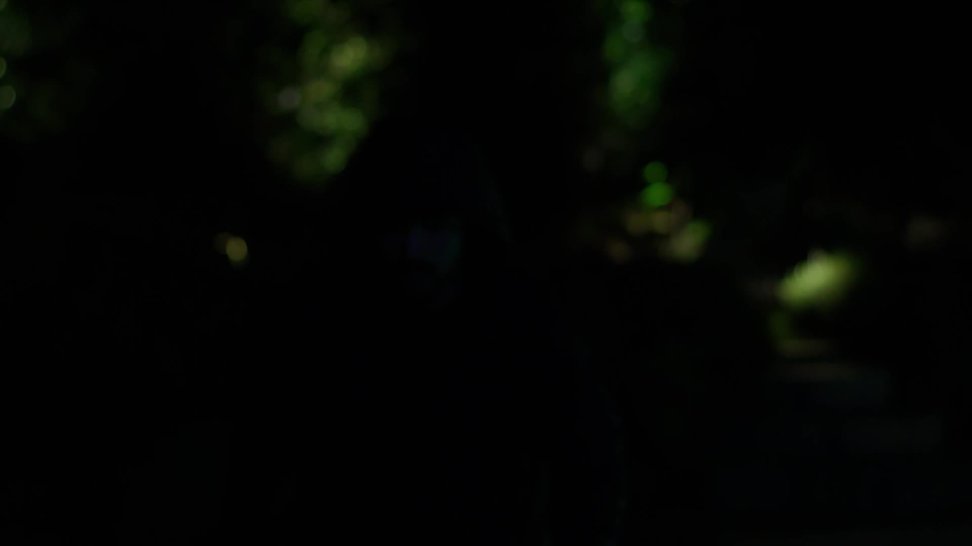 Swann-4K-Enforcer-Bullet-Analogue-Security-Cameras-2-Pack