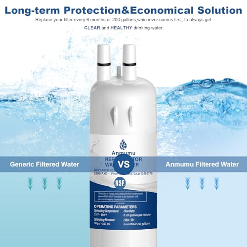 Replacement Water Filter 1 for Whirlpool* EDR1RXD1, W10295370A, WHR1RXD1, Compatible with Kenmore 46-9081, 9081, 46-9930, 9930, P4RFWB, P8RFWB2L, W10276924, W10291030,Pack of 2 by Anmumu - Image 6
