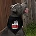 GRAPHICS & MORE The Big Bang Theory Logo Dog Pet Bandana