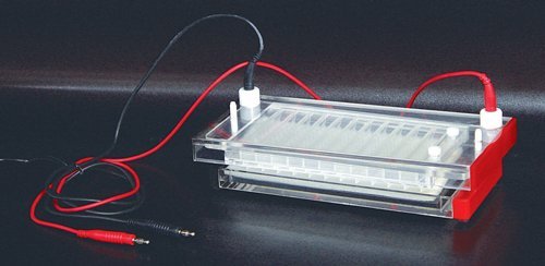High Throughput Horizontal Electrophoresis (96 Samples)