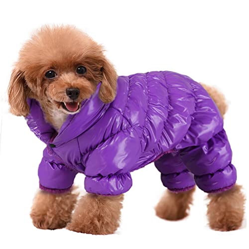 Dog Snowsuit The 15 best products compared Wild Explained