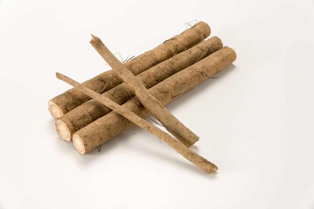 Forest Corner Fresh Burdock Root Japanese Gobo Burdock 2 LBS, 32.0 Ounce