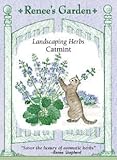 Catmint Seeds